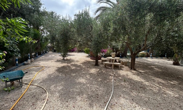 Venta - Finca Propiedad rural -
Crevillente