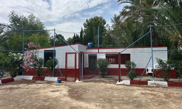 Venta - Finca Propiedad rural -
Crevillente