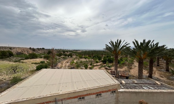 Återförsäljning - Finca lantlig egendom -
Albatera