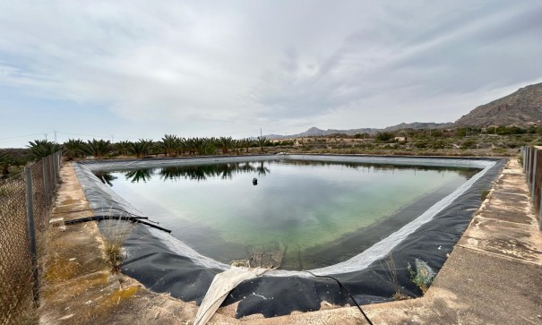 Återförsäljning - Finca lantlig egendom -
Albatera