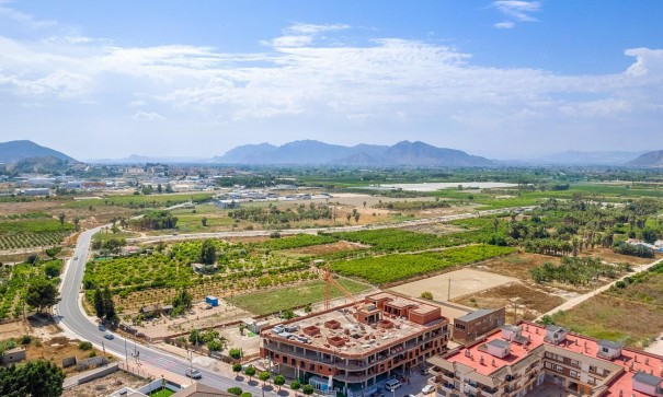 New Build - Apartment Flat -
Jacarilla - Comunidad Valenciana