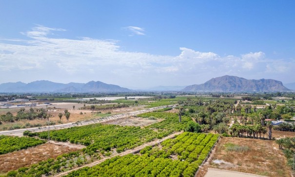 New Build - Apartment Flat -
Jacarilla - Comunidad Valenciana