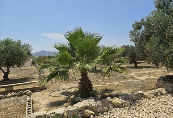 Herverkoop - Vrijstaande Villa -
SAX