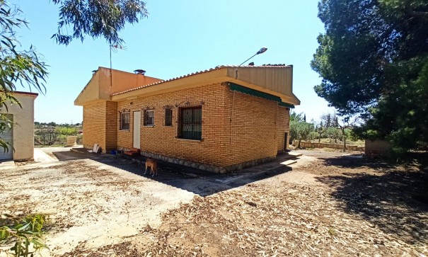 Återförsäljning - Finca lantlig egendom -
SAN VICENTE DEL RASPIG