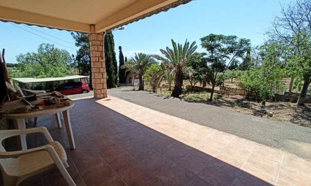 Återförsäljning - Finca lantlig egendom -
SAN VICENTE DEL RASPIG