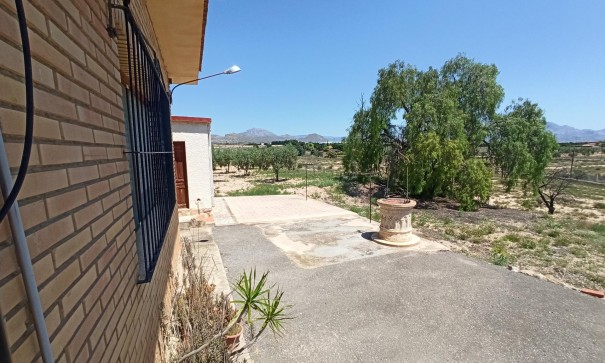 Återförsäljning - Finca lantlig egendom -
SAN VICENTE DEL RASPIG