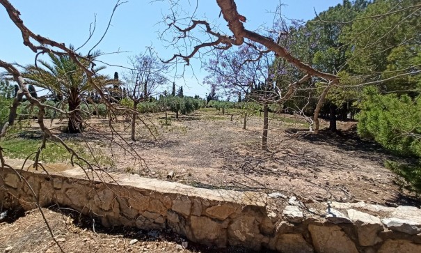 Återförsäljning - Finca lantlig egendom -
SAN VICENTE DEL RASPIG