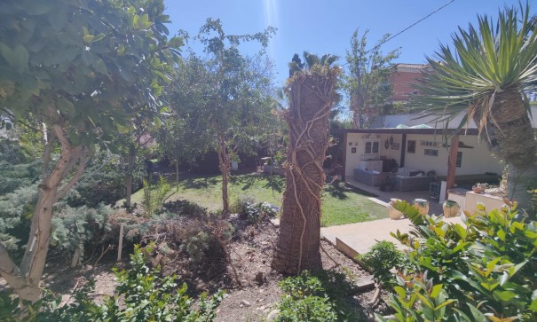 Herverkoop - Finca Landelijk pand -
San Juan de Alicante - SAN JUAN