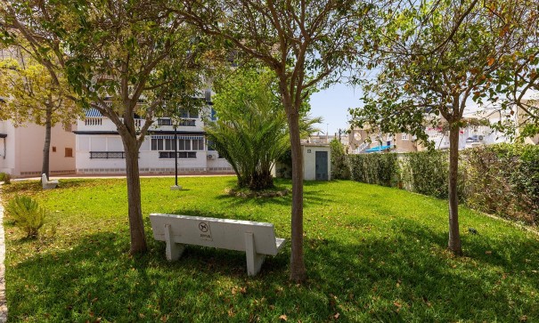 Återförsäljning - Lägenhet lägenhet -
Torrevieja - Cañada del Molino