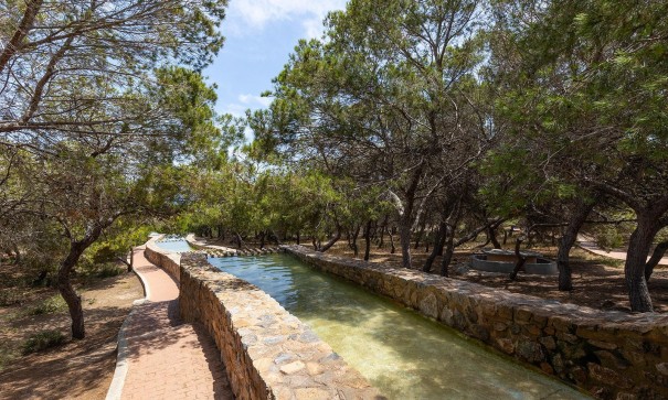 Återförsäljning - Lägenhet lägenhet -
Torrevieja - Cañada del Molino