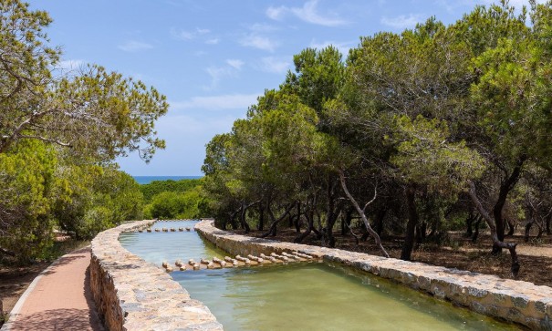 Återförsäljning - Lägenhet lägenhet -
Torrevieja - Cañada del Molino