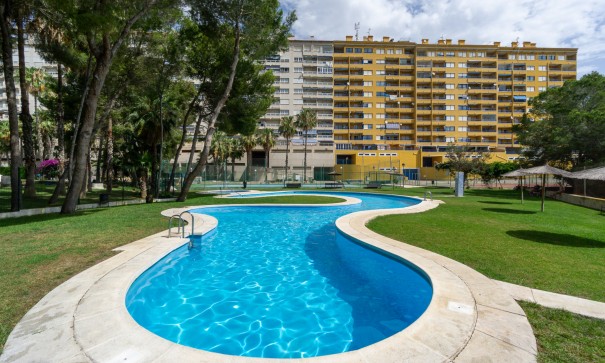 Sale - Apartment Flat -
Campoamor - Campoamor beach