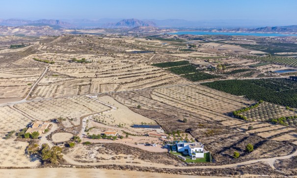 Sale - Detached Villa -
San Miguel de Salinas