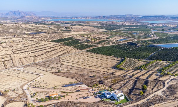 Sale - Detached Villa -
San Miguel de Salinas