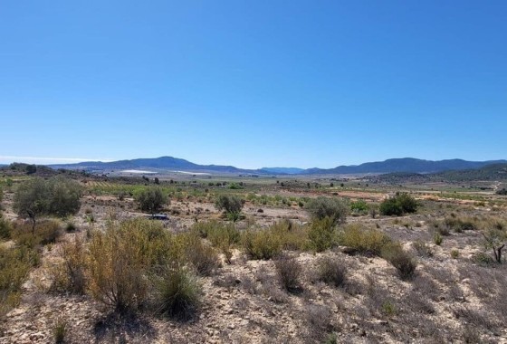 Resale - Grundstück Grundstück -
Monóvar