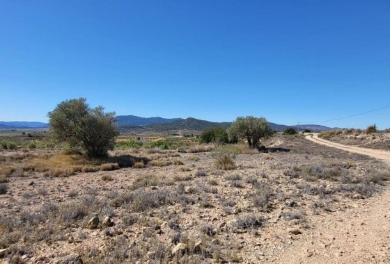 Resale - Grundstück Grundstück -
Monóvar