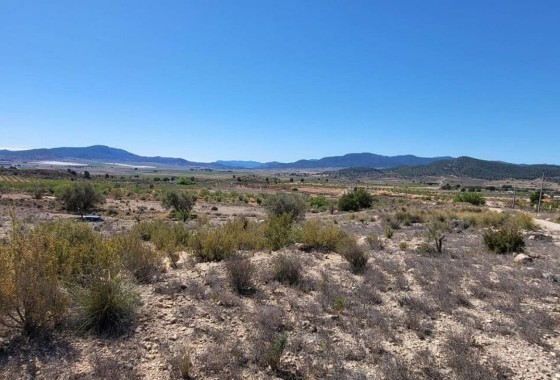 Resale - Grundstück Grundstück -
Monóvar