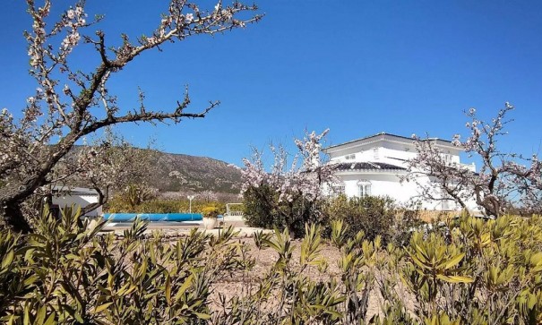 Sale - Detached Villa -
Pinoso