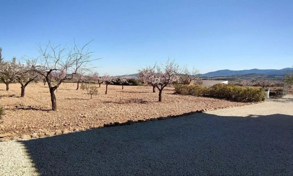 Sale - Detached Villa -
Pinoso