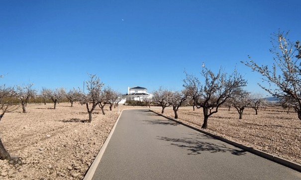 Sale - Detached Villa -
Pinoso