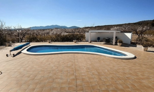 Sale - Detached Villa -
Pinoso