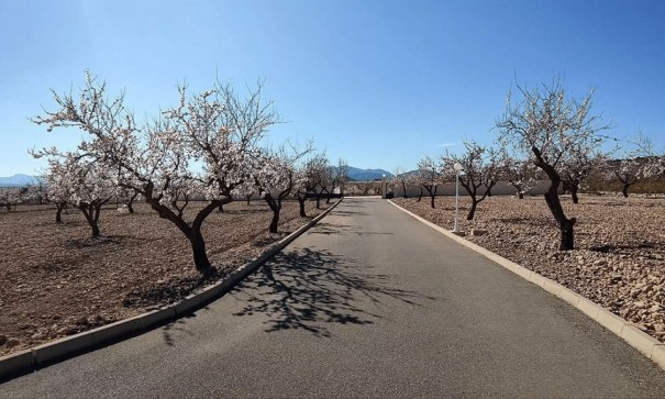 Sale - Detached Villa -
Pinoso