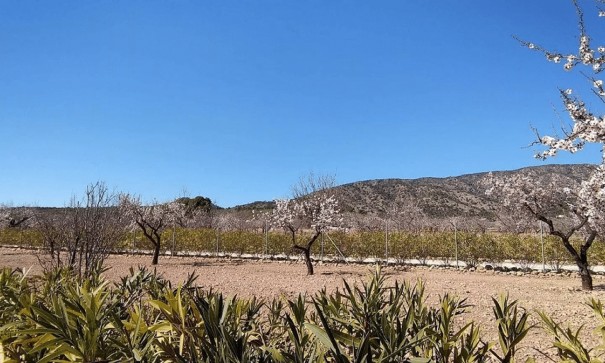 Sale - Detached Villa -
Pinoso