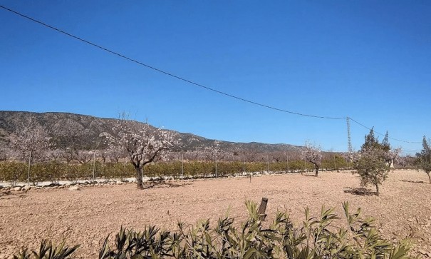 Sale - Detached Villa -
Pinoso