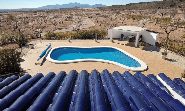 Sale - Detached Villa -
Pinoso