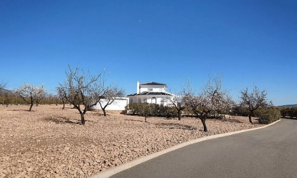 Sale - Detached Villa -
Pinoso