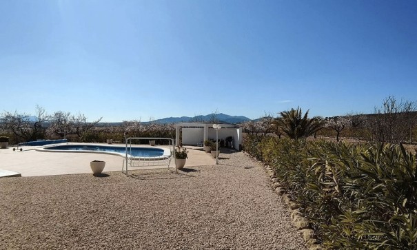 Sale - Detached Villa -
Pinoso