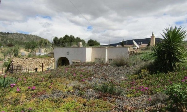 Herverkoop - Finca Landelijk pand -
La Romana