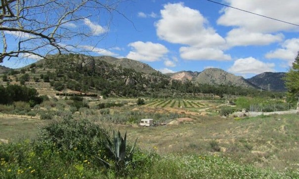 Herverkoop - Finca Landelijk pand -
La Romana