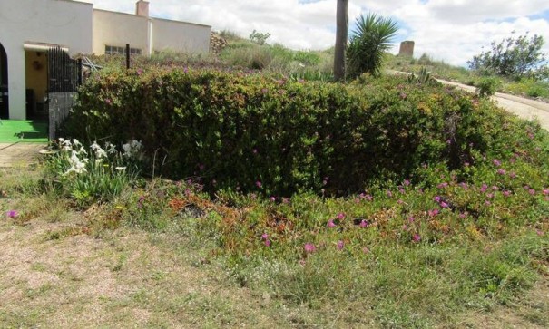 Herverkoop - Finca Landelijk pand -
La Romana