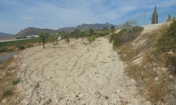 Sale - Finca Country Property -
La Romana