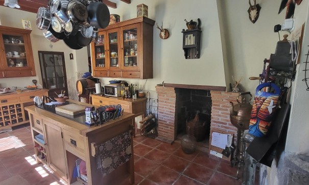 Venta - Finca Propiedad rural -
La Romaneta