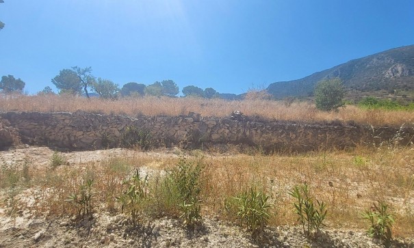 Sale - Finca Country Property -
La Romana