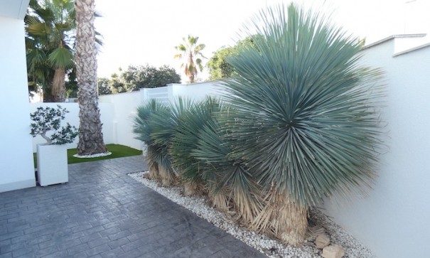 Sale - Detached Villa -
Ciudad Quesada - Rojales - Ciudad Quesada