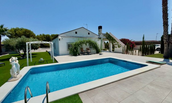 Venta - Finca Propiedad rural -
Torrellano