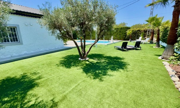 Venta - Finca Propiedad rural -
Torrellano