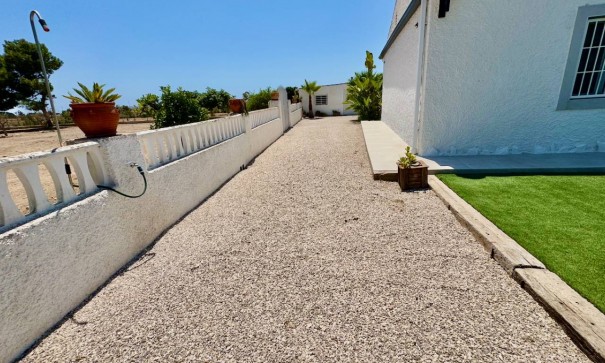 Venta - Finca Propiedad rural -
Torrellano