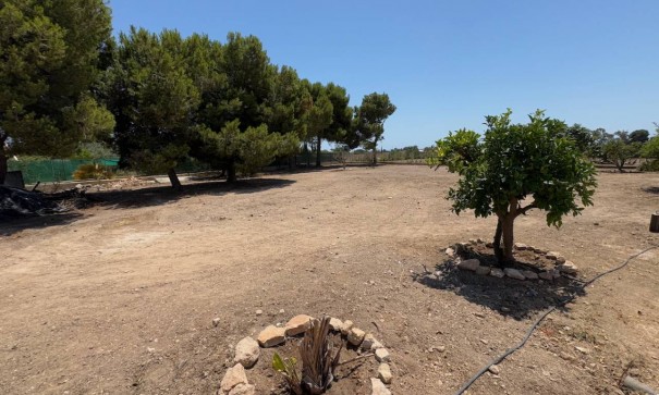 Venta - Finca Propiedad rural -
Torrellano