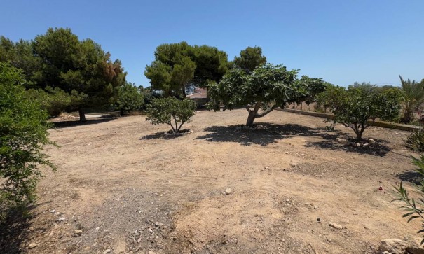 Venta - Finca Propiedad rural -
Torrellano