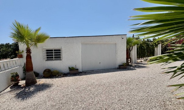 Venta - Finca Propiedad rural -
Torrellano