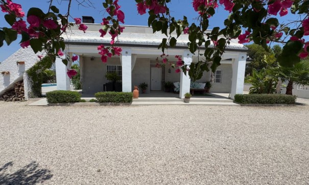 Venta - Finca Propiedad rural -
Torrellano