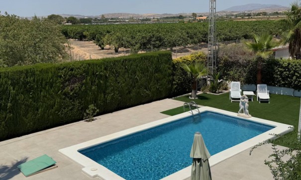 Venta - Finca Propiedad rural -
Torrellano