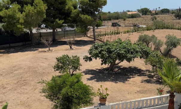 Venta - Finca Propiedad rural -
Torrellano