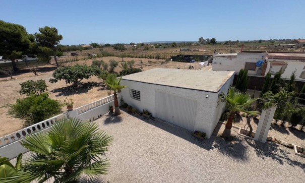 Venta - Finca Propiedad rural -
Torrellano