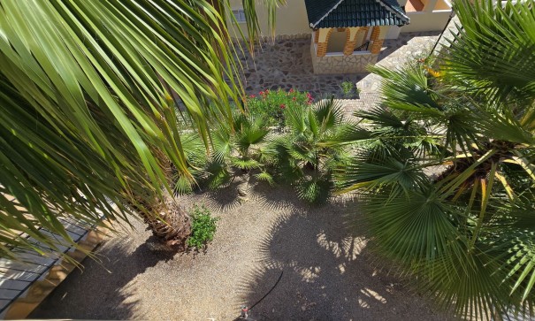 Venta - Chalet Independiente -
Orihuela Costa