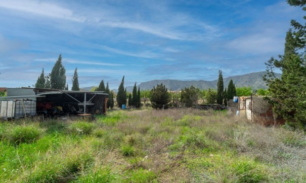 Resale - Freistehende Villa -
Salinas